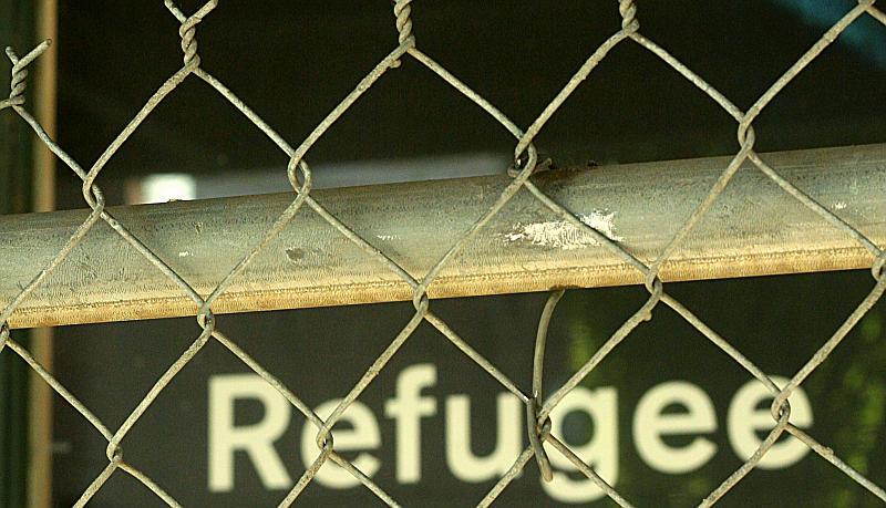 refugee-zaun-800.jpg